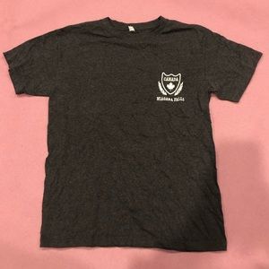 Niagara Falls Shirt